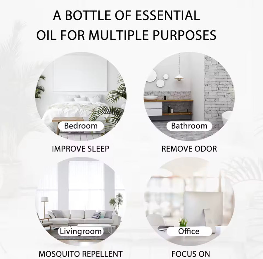 Huiles Essentielles Pures 100ml — Collection Aromathérapie Sommeil